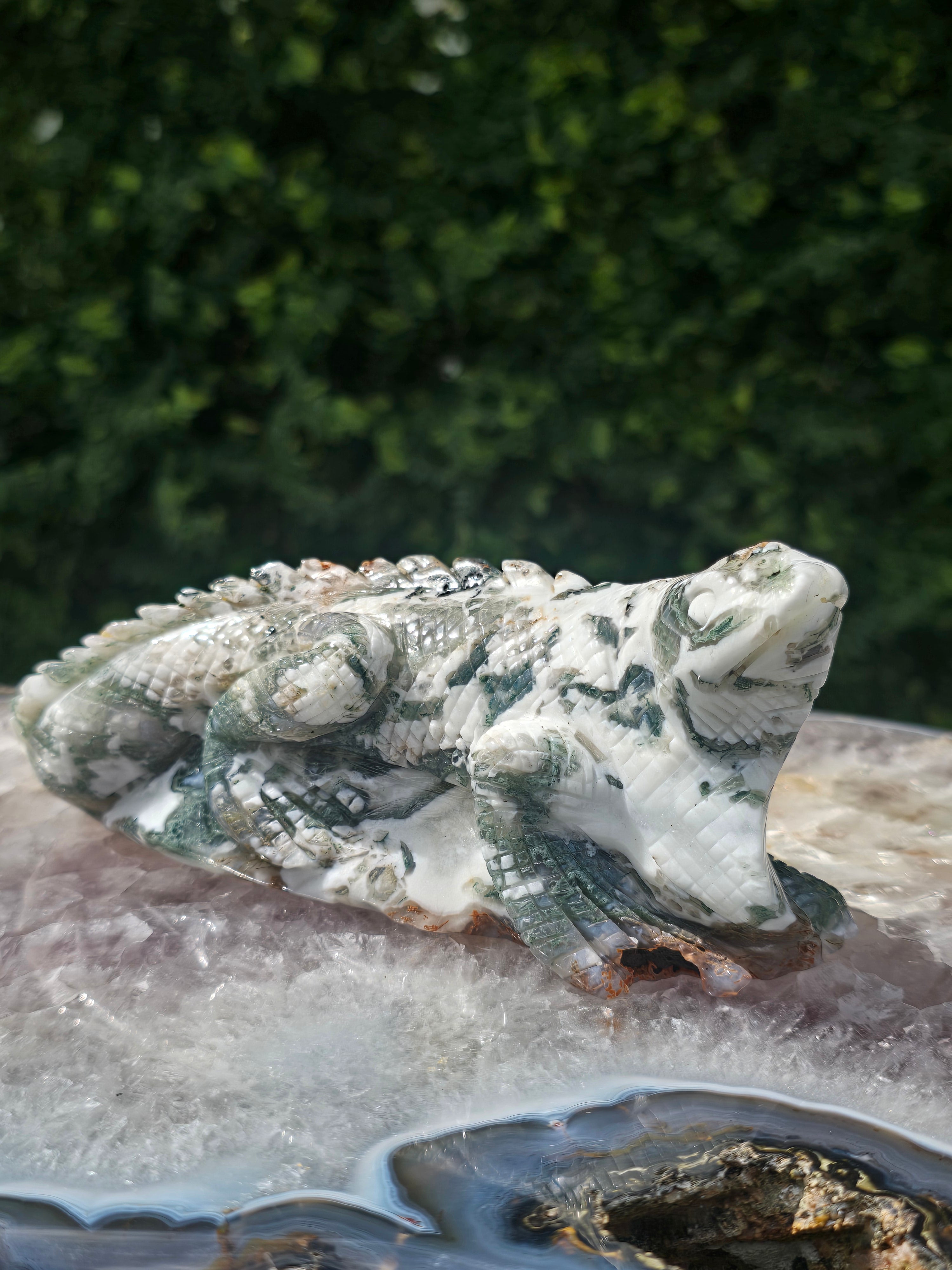 Moss Agate Lizard #5