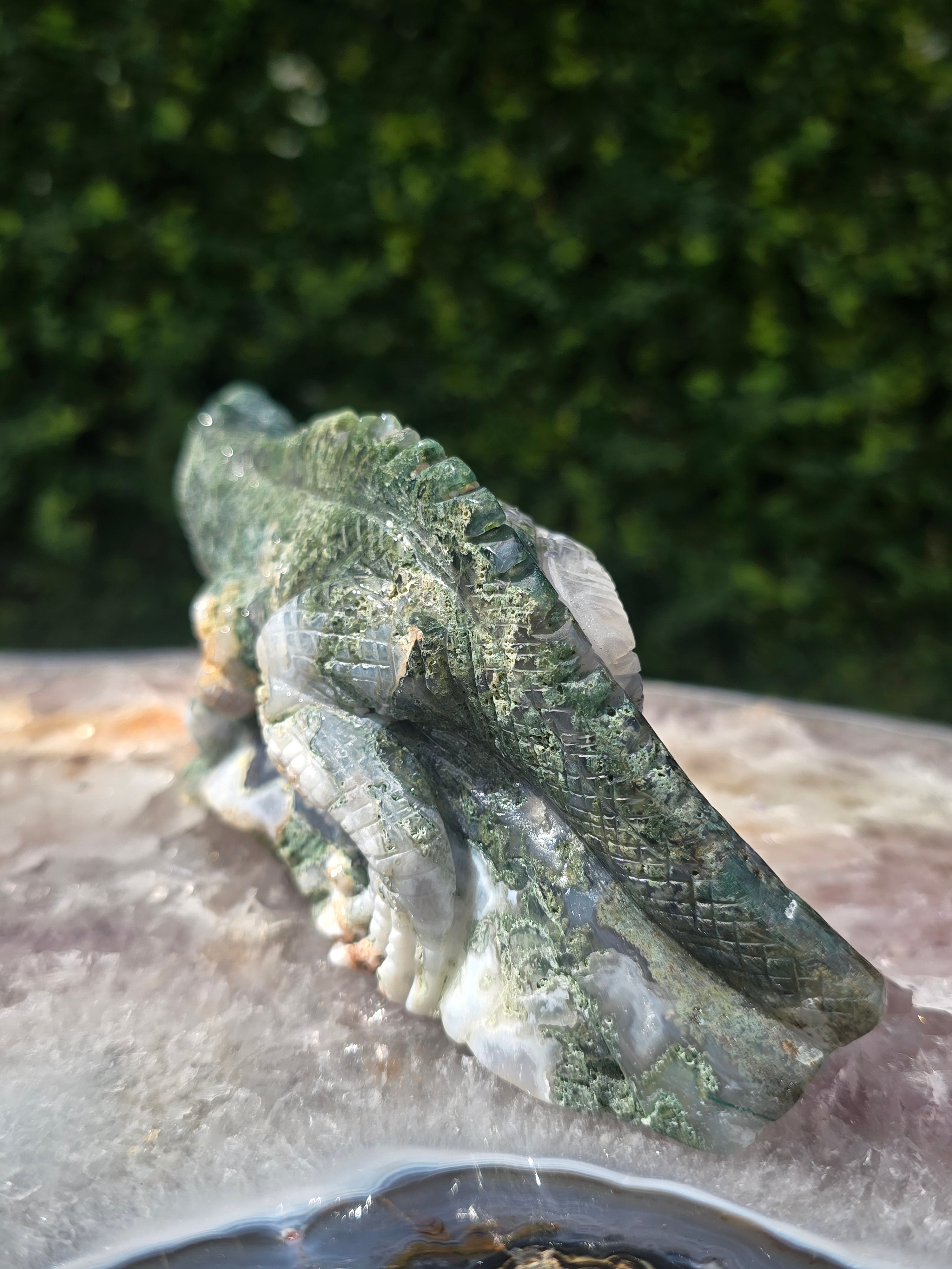 Moss Agate Lizard #7