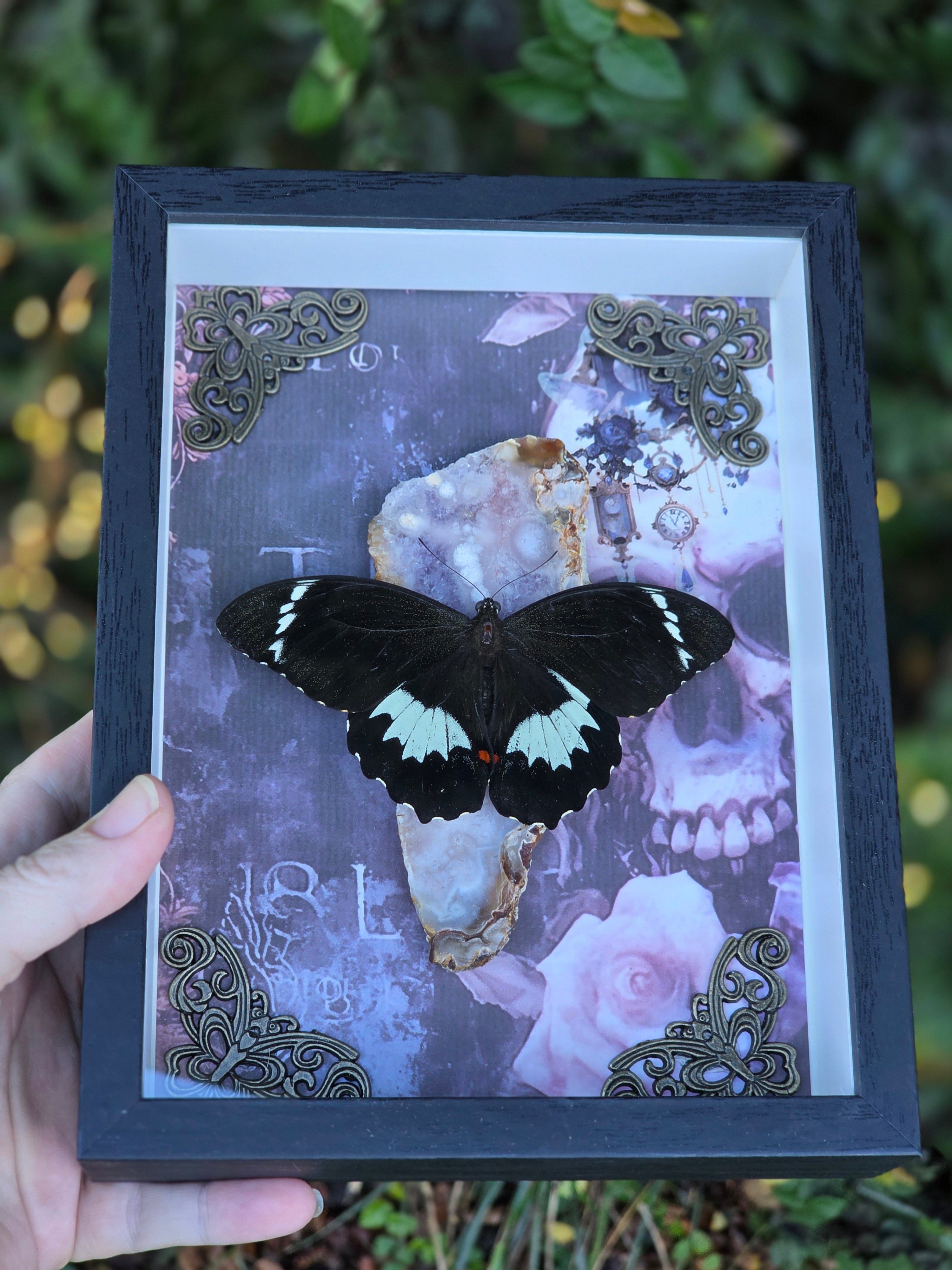 The Mourning Garden