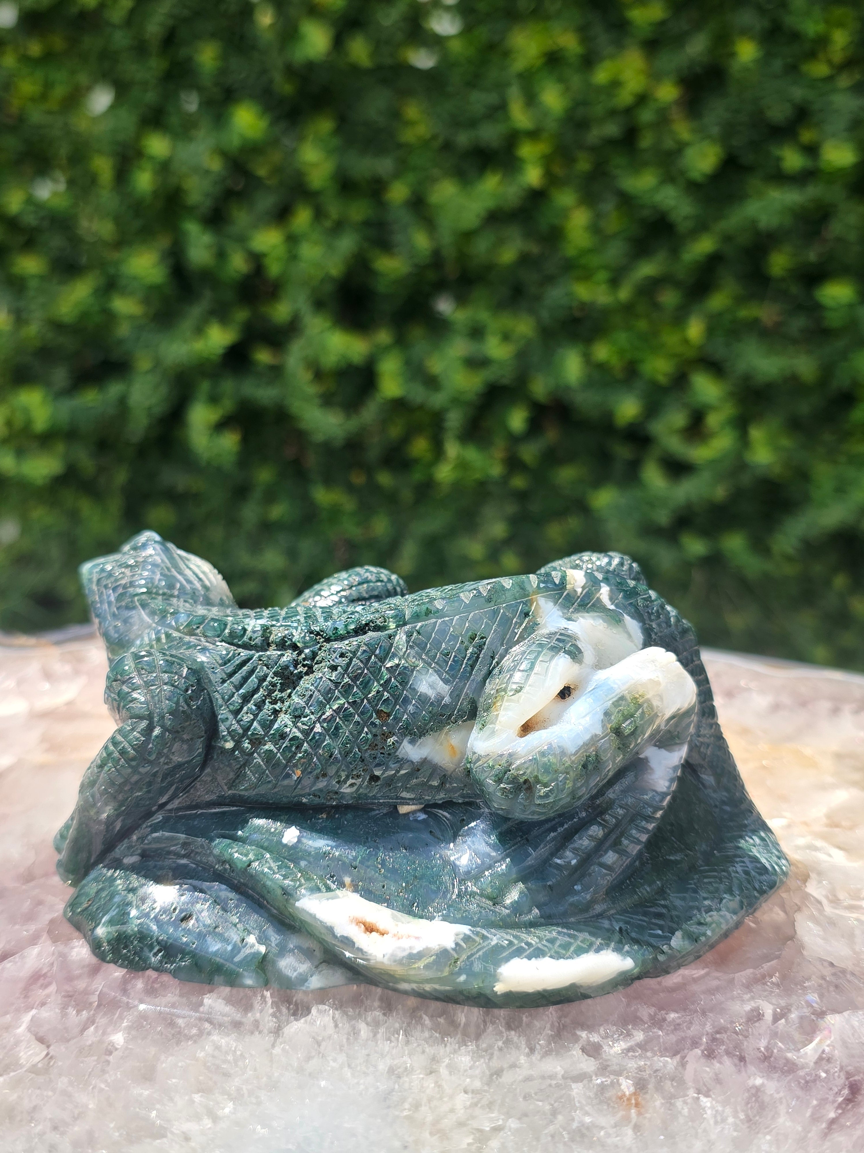 Moss Agate Lizard #13