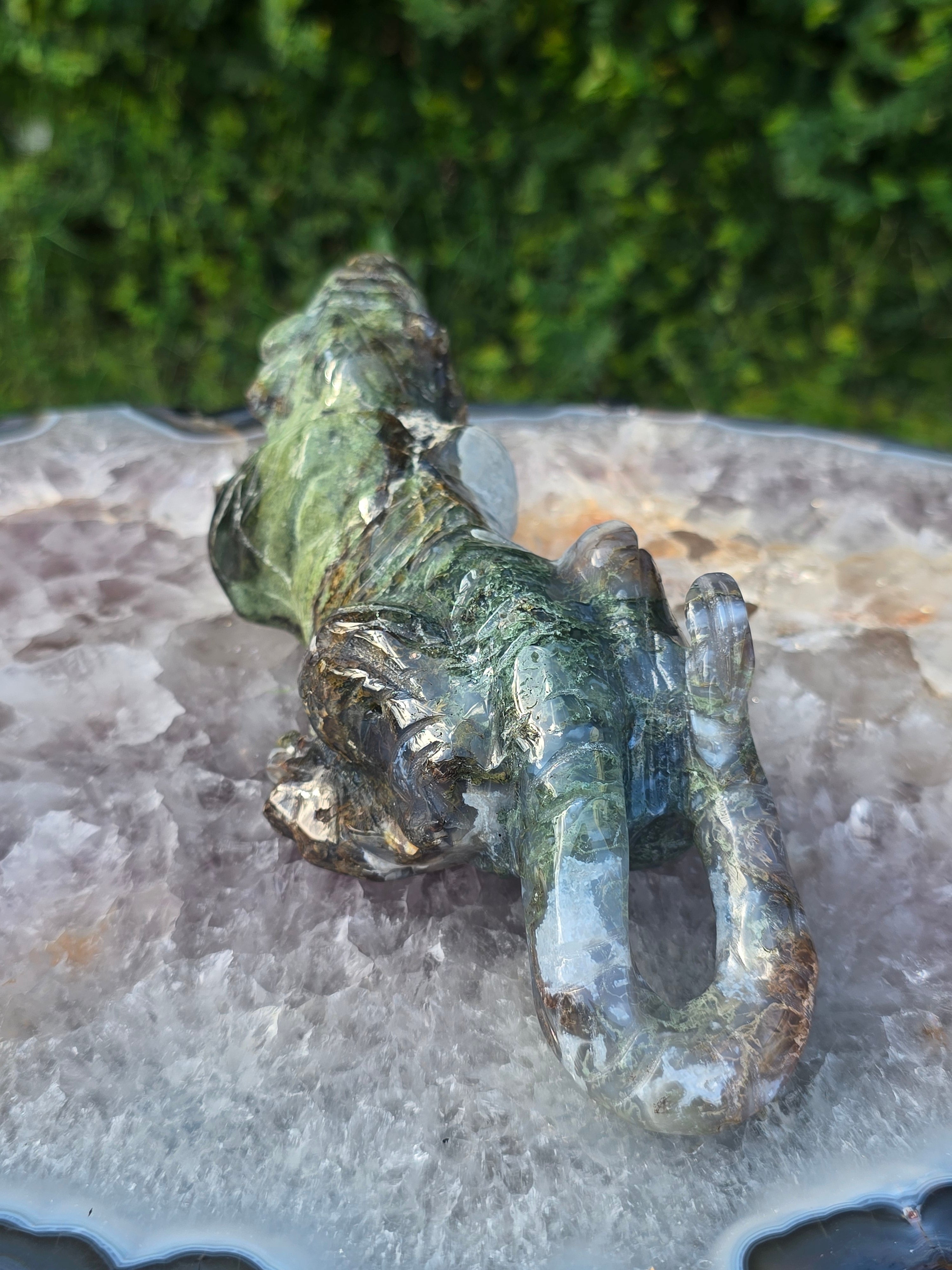 Moss Agate Tiger #1