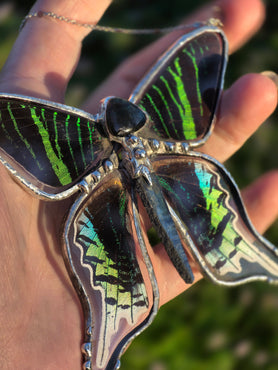 Emerald Ghost Butterfly Necklace