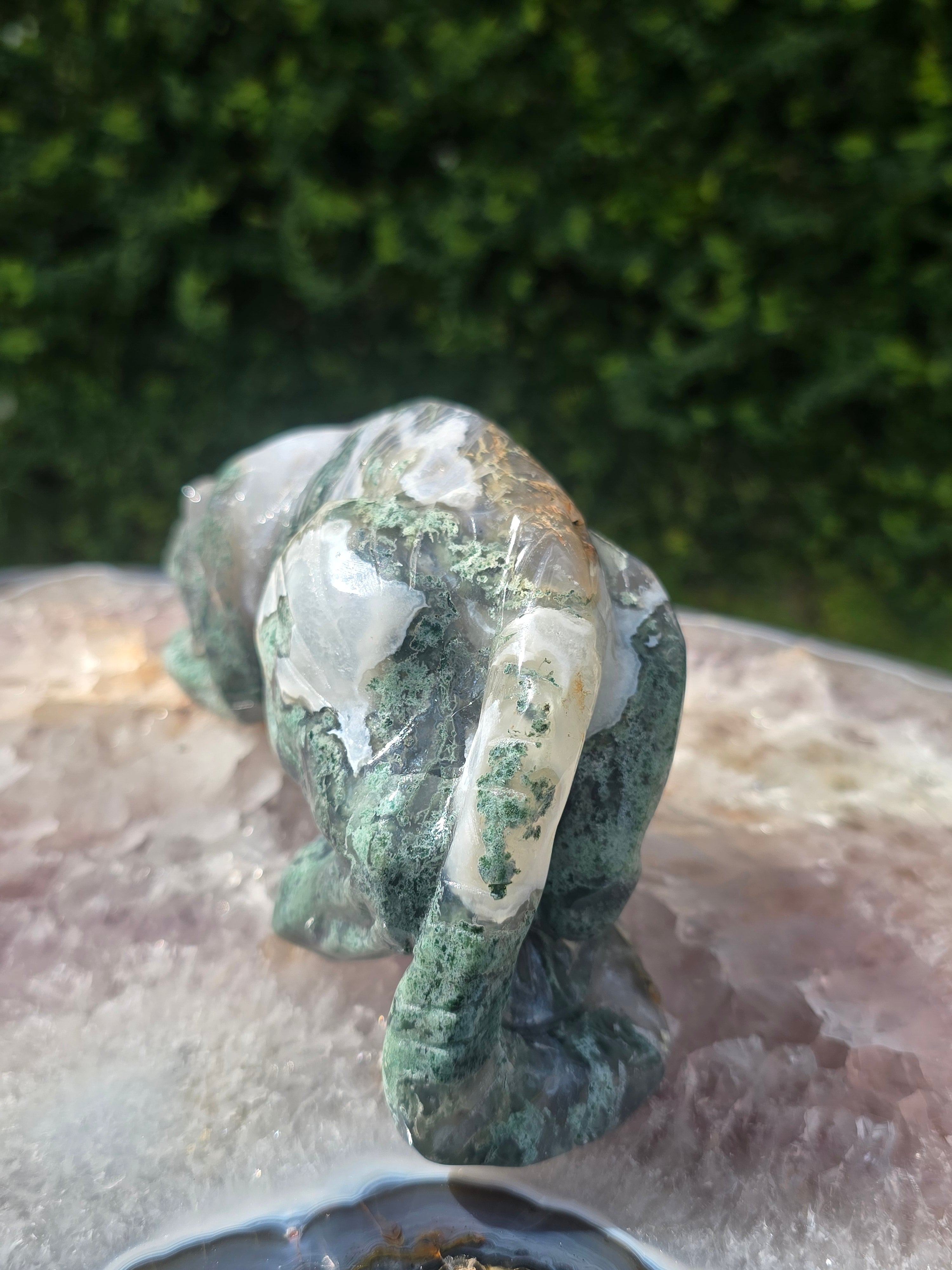 Moss Agate Tiger #7