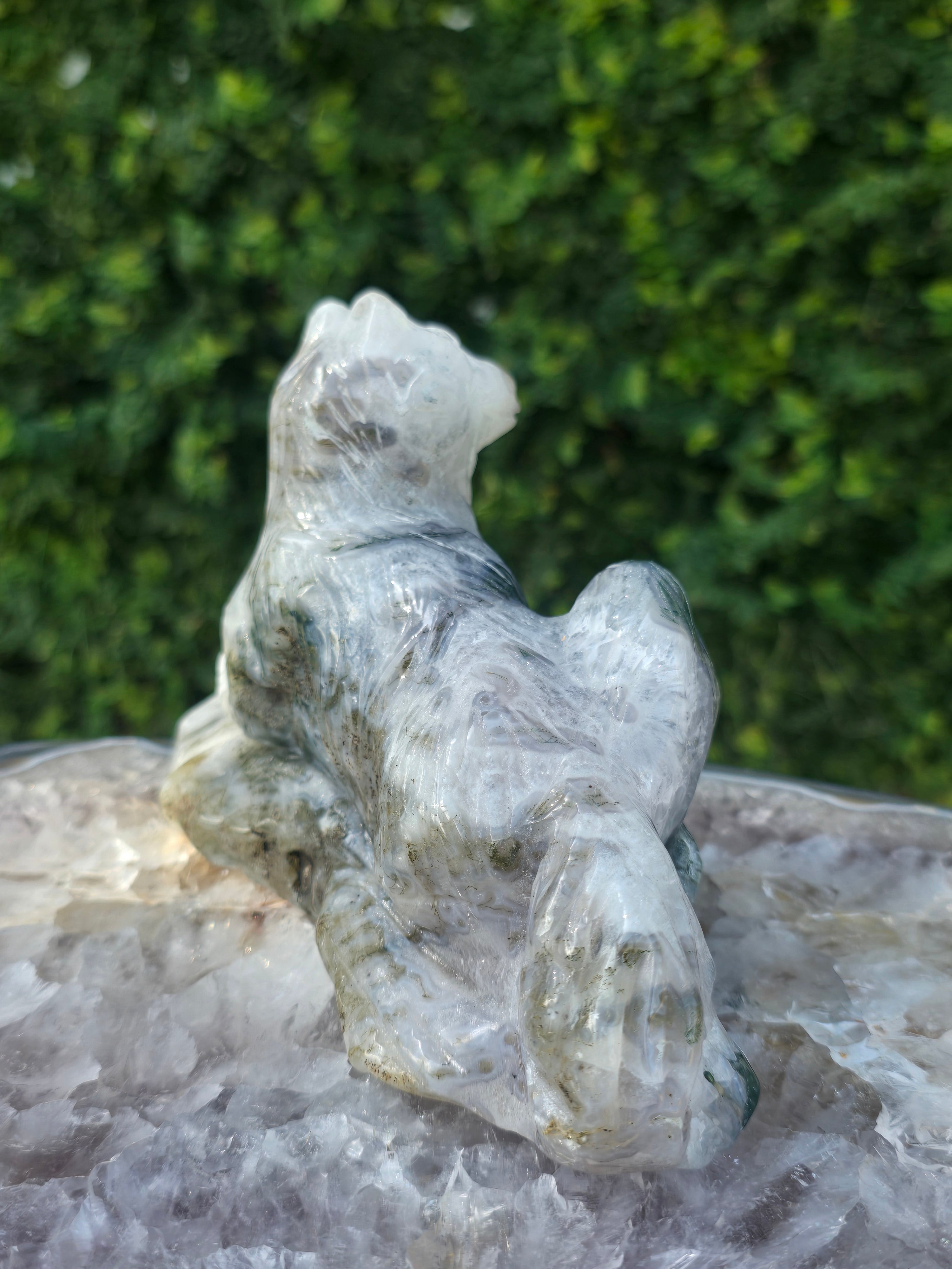 Moss Agate Laying Wolf #1
