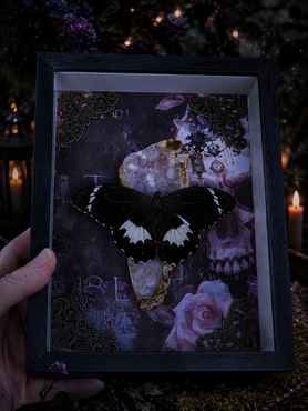 The Mourning Garden