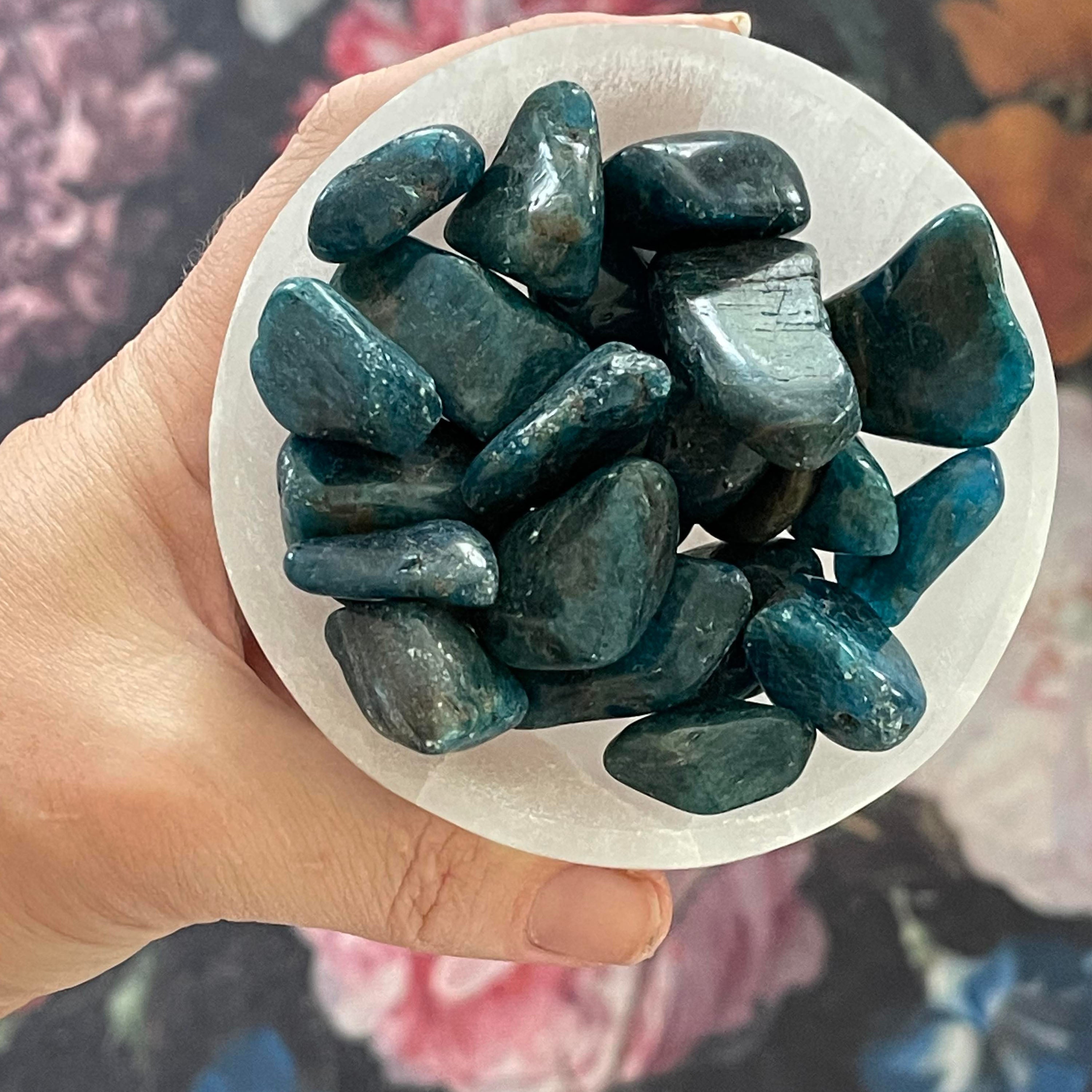 Apatite | Tumbled Stones | Australia | Crystal Collection