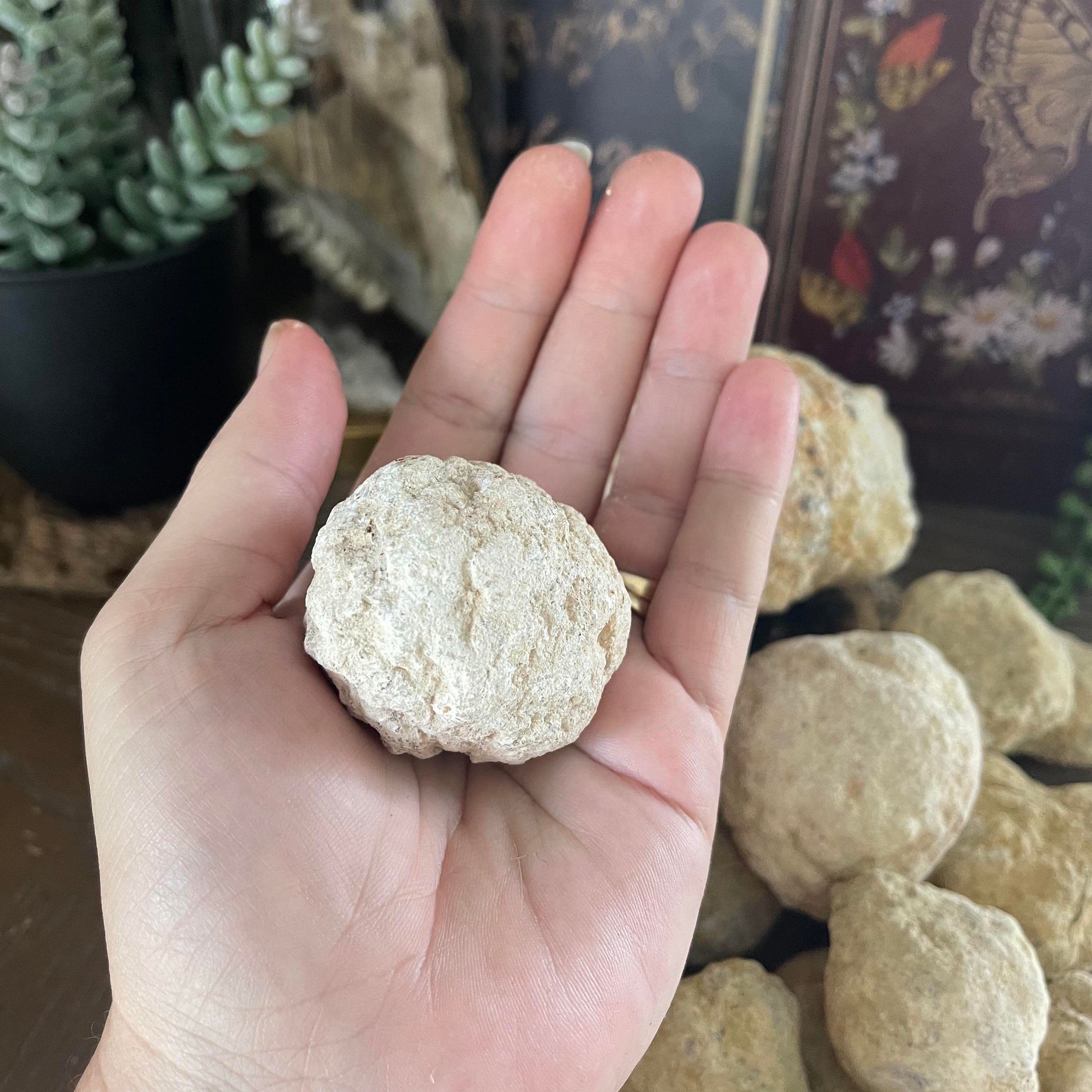 Crack Your Own Geode | Break Your Own Quartz | Thunder Egg Hunt Activity