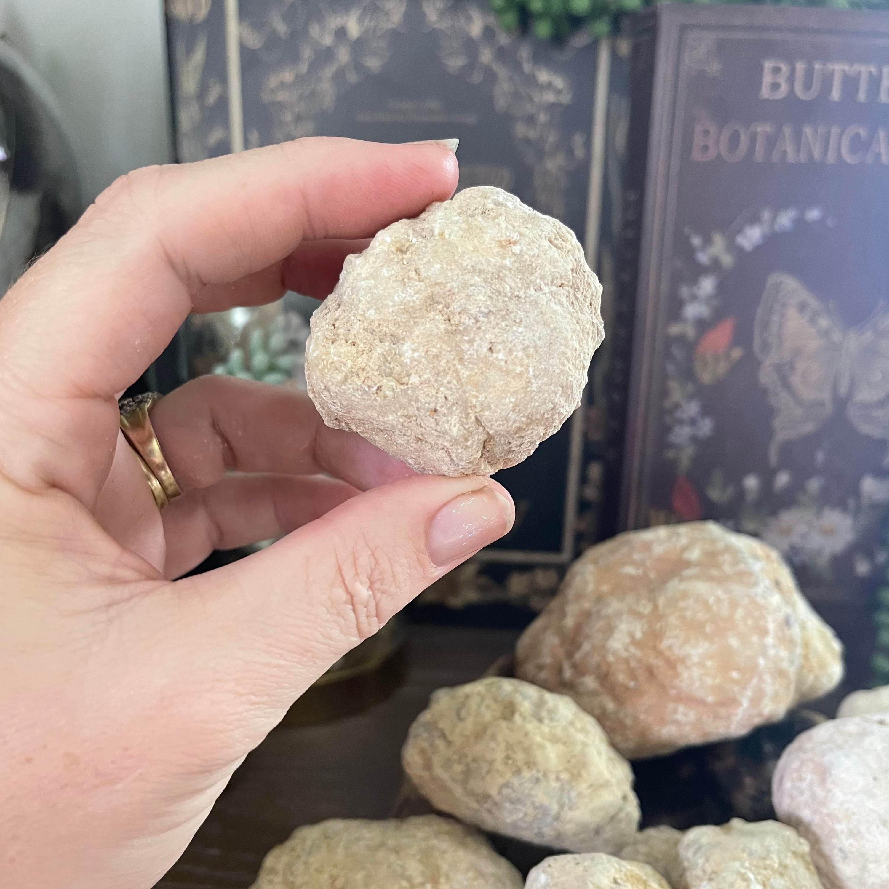 Crack Your Own Geode | Break Your Own Quartz | Thunder Egg Hunt Activity