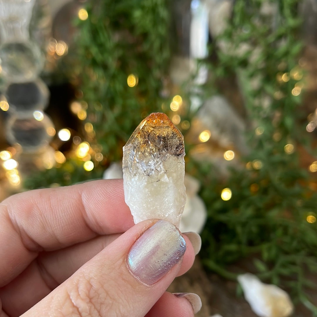 Citrine Crystal Points