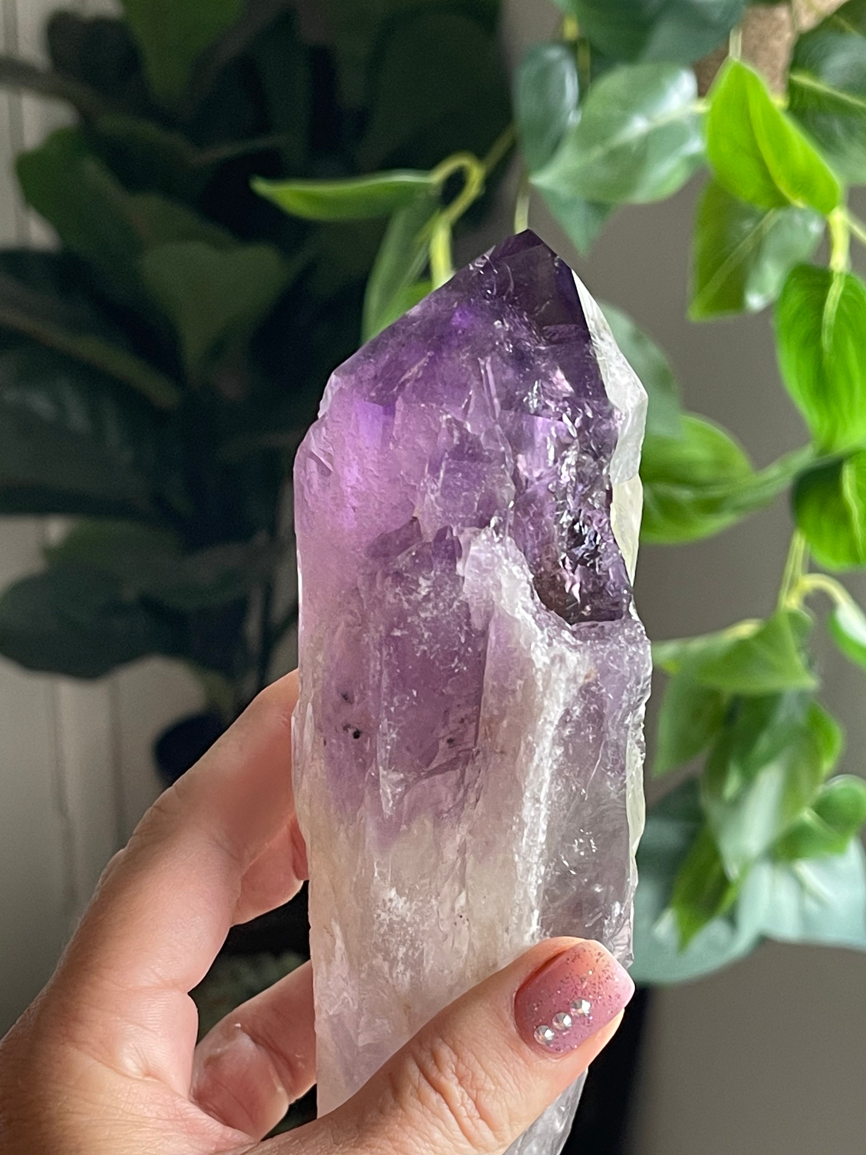 Massive Raw Natural Amethyst Tooth