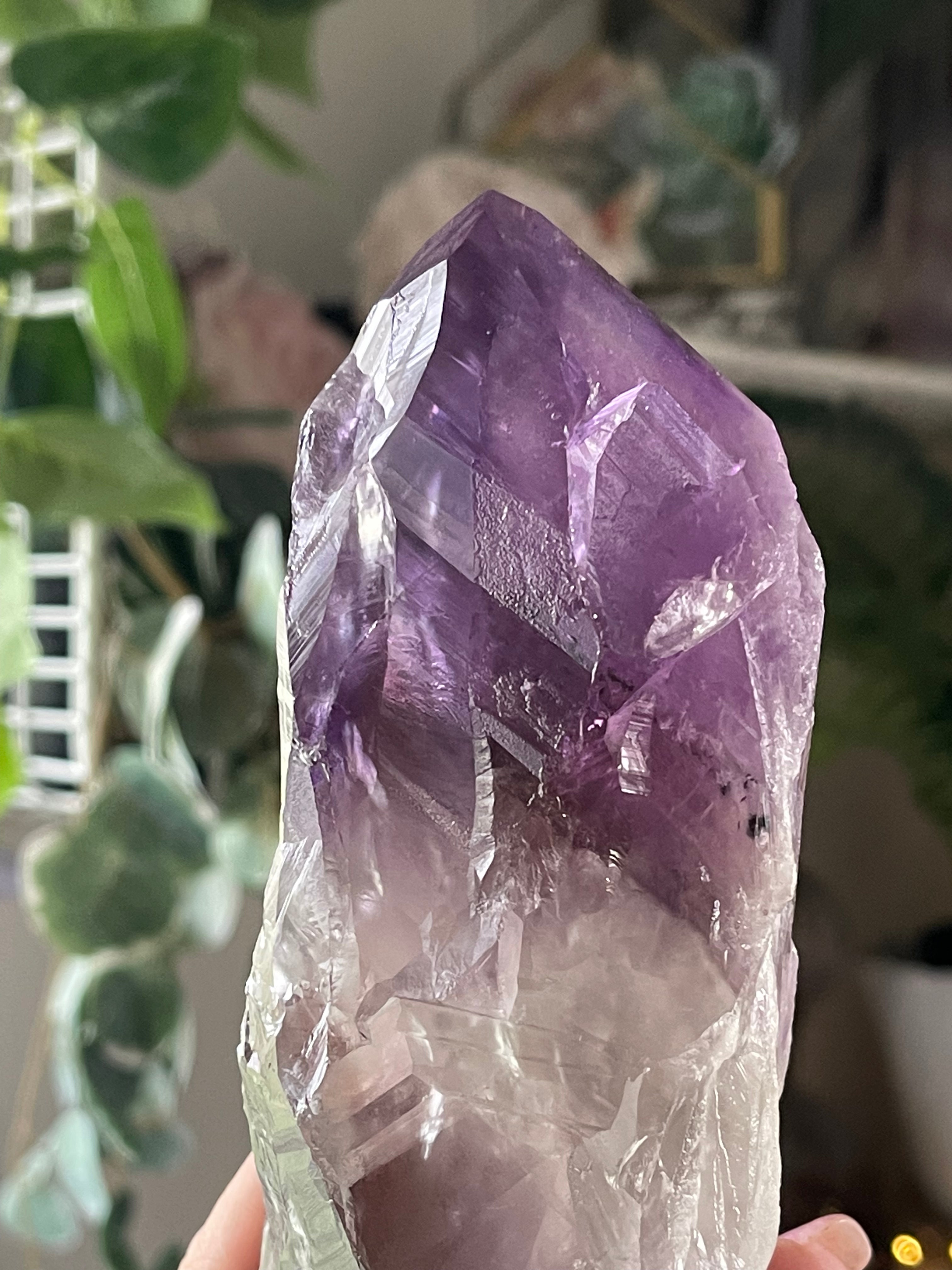 Massive Raw Natural Amethyst Tooth