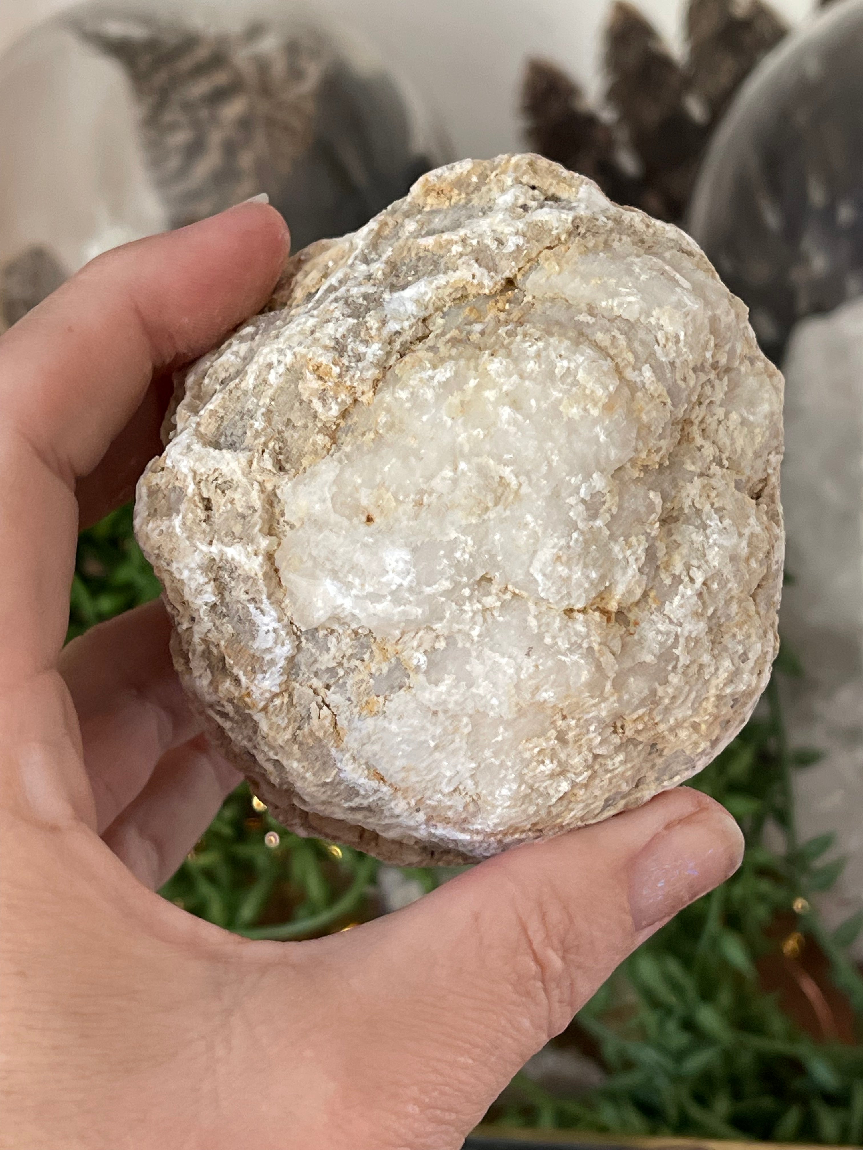 Crack Your Own Medium Geode | Break Your Own Quartz | Thunder Egg Hunt Activity