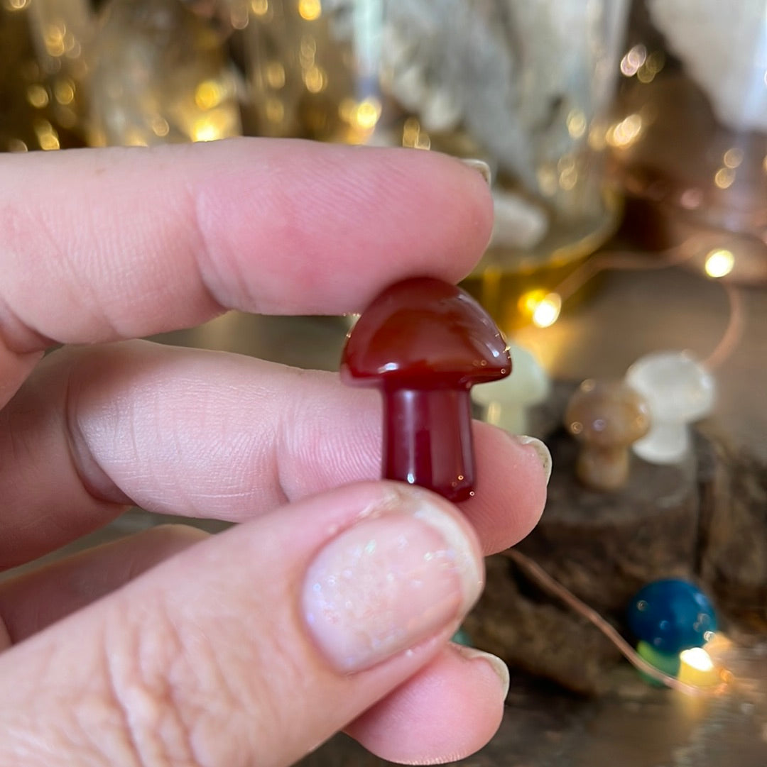 Mini Hand Carved Polished Mushroom Gemstone