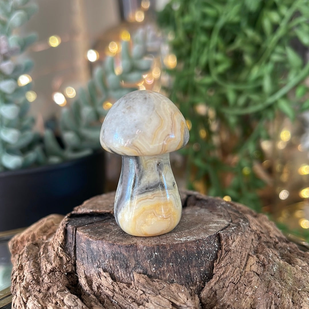 Hand Carved Polished Mushroom Gemstone (Large)