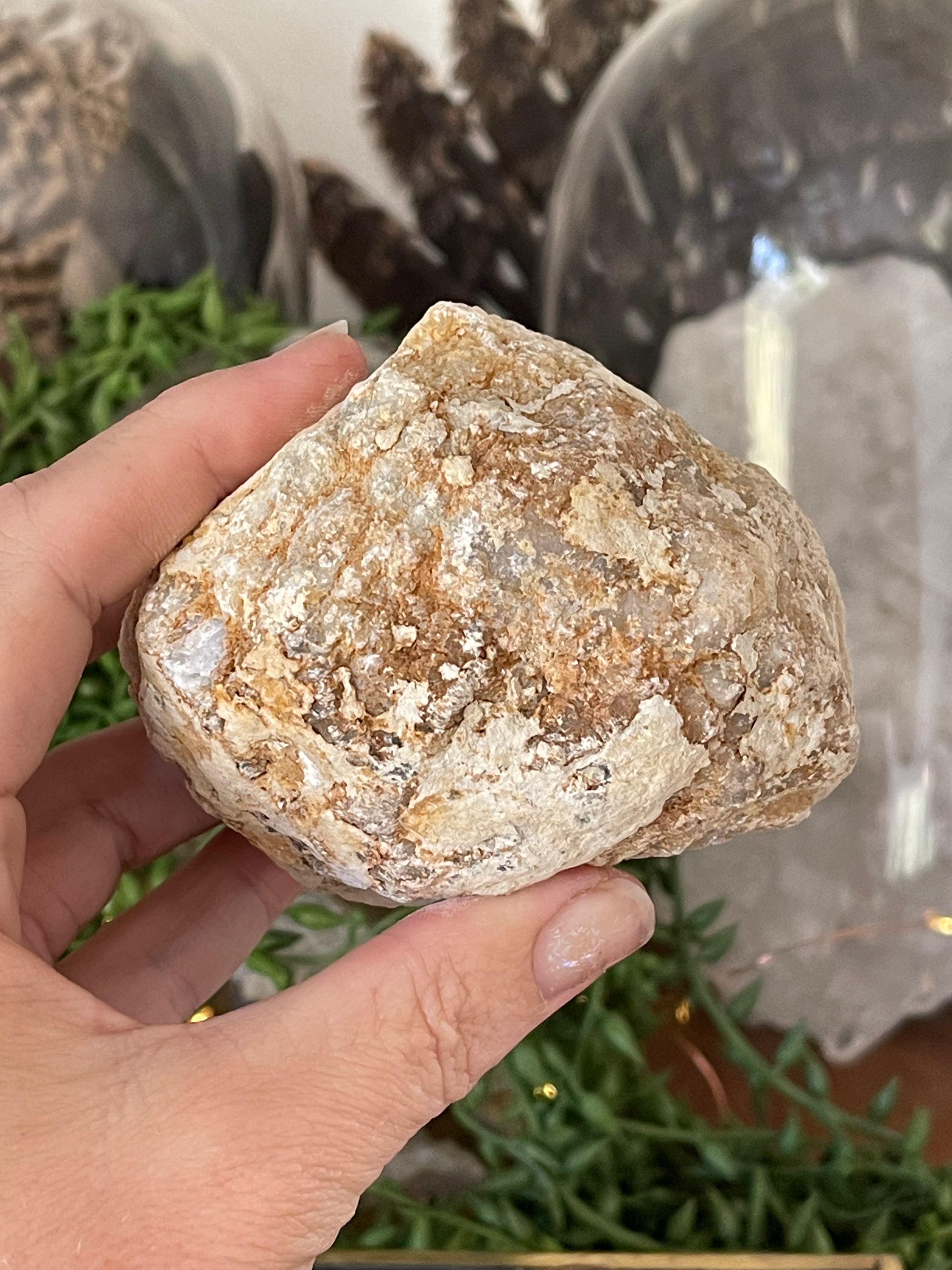 Crack Your Own Medium Geode | Break Your Own Quartz | Thunder Egg Hunt Activity