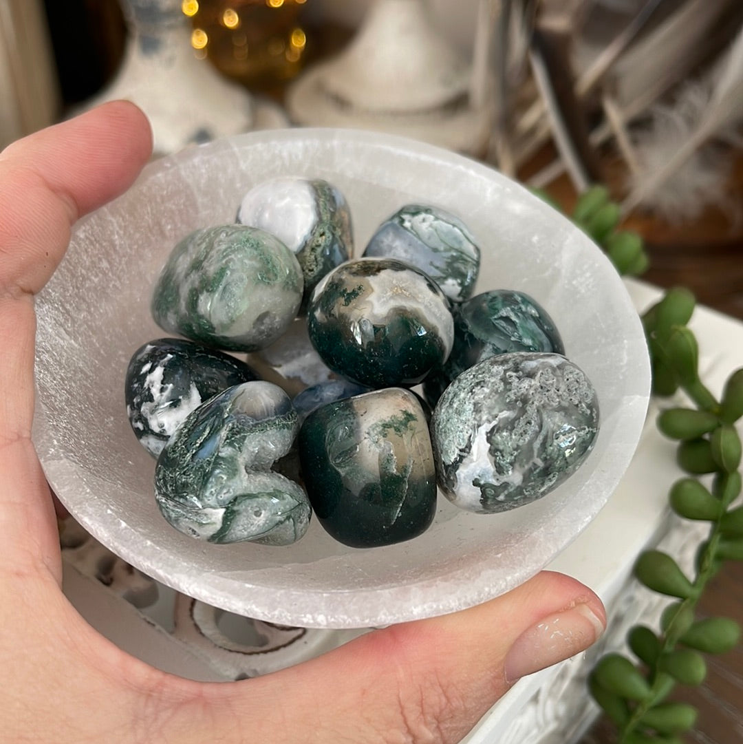 Moss Agate | Tumbled Stones | Australia | Crystal Collection