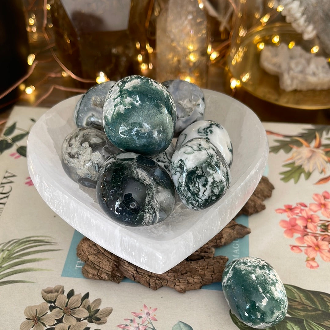 Tree Agate | Tumbled Stones | Australia | Crystal Collection