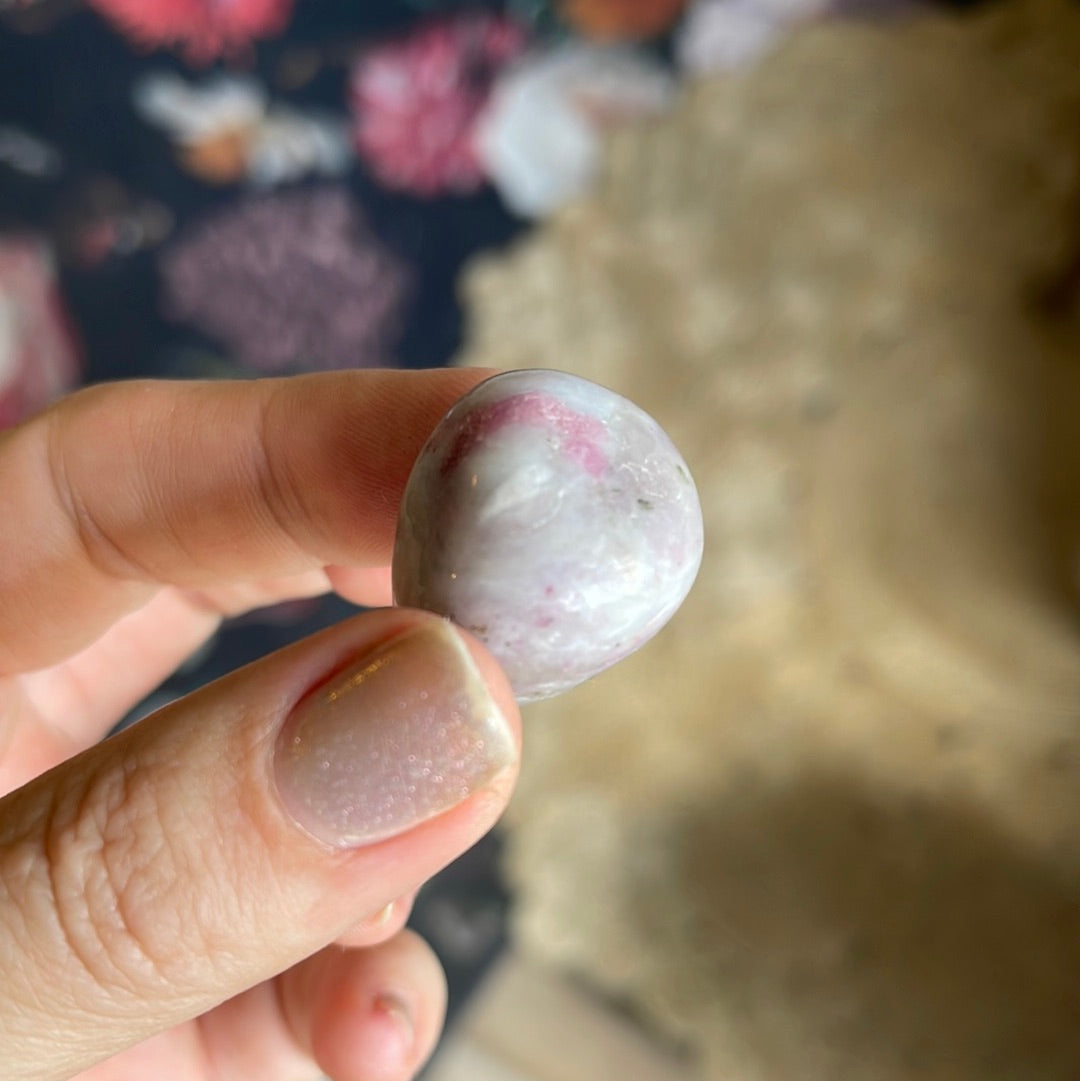 Unicorn Stone Tumbles | Tumbled Stones | Australia | Crystal Collection