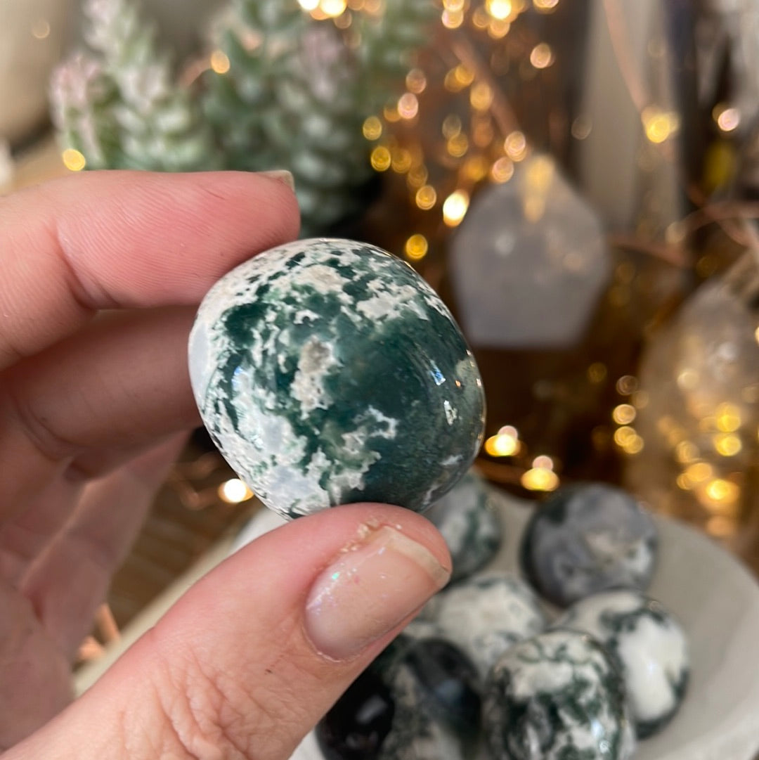 Tree Agate | Tumbled Stones | Australia | Crystal Collection