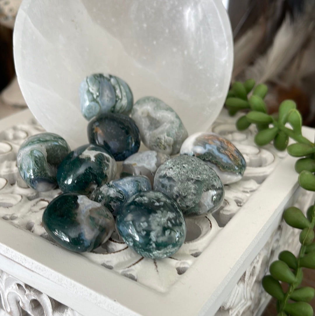 Moss Agate | Tumbled Stones | Australia | Crystal Collection