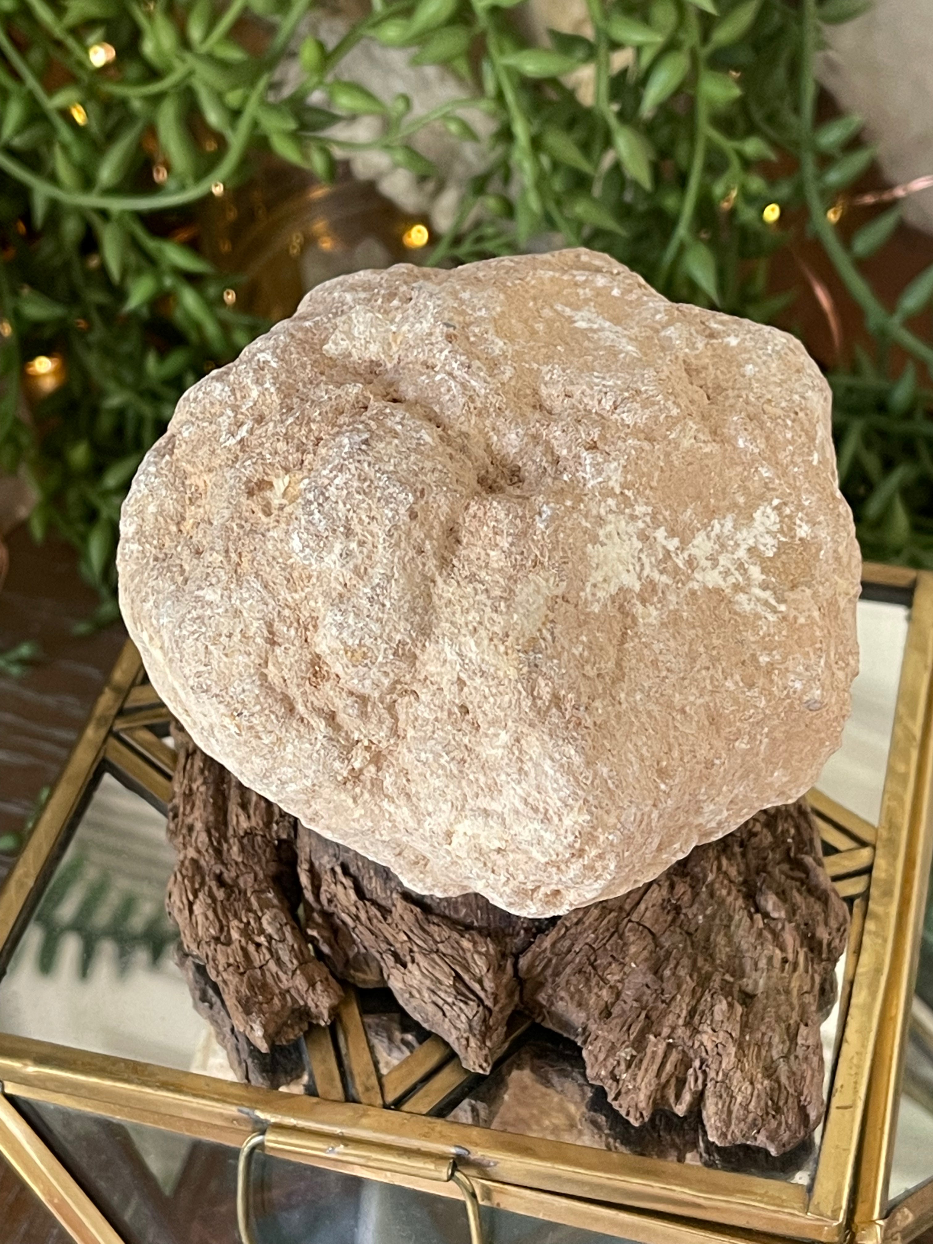 Crack Your Own Medium Geode | Break Your Own Quartz | Thunder Egg Hunt Activity