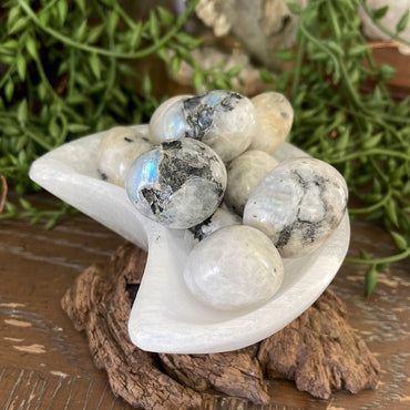 Moonstone | Tumbled Stones | Australia | Crystal Collection