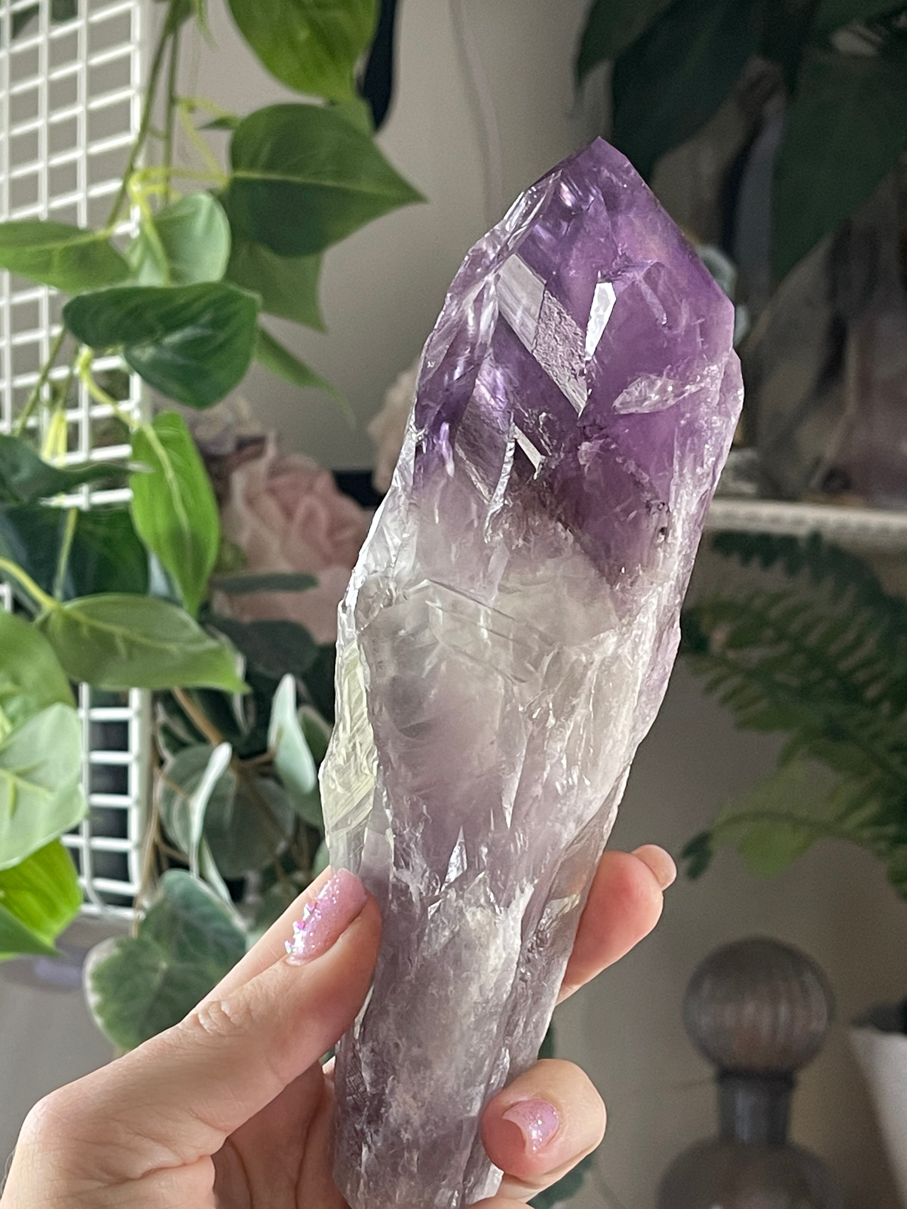 Massive Raw Natural Amethyst Tooth