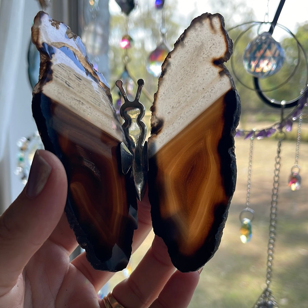 Agate Slice butterfly