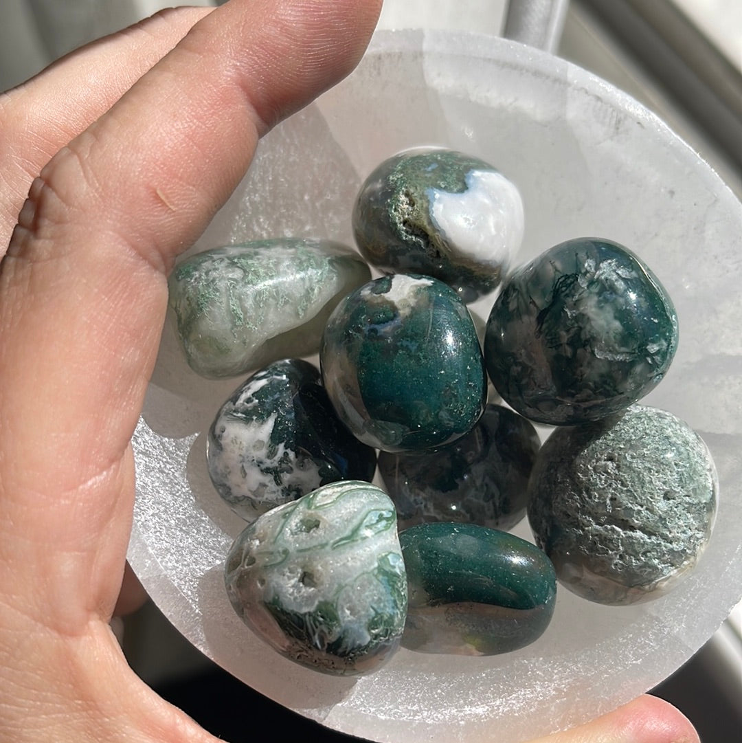 Moss Agate | Tumbled Stones | Australia | Crystal Collection