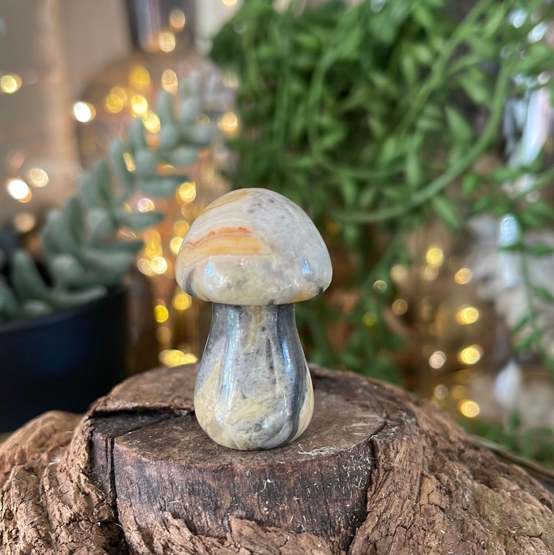 Hand Carved Polished Mushroom Gemstone (Large)