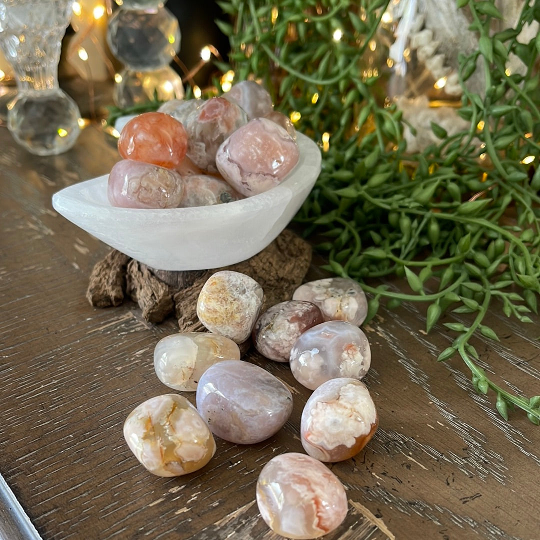 Flower Agate | Tumbled Stones | Australia | Crystal Collection