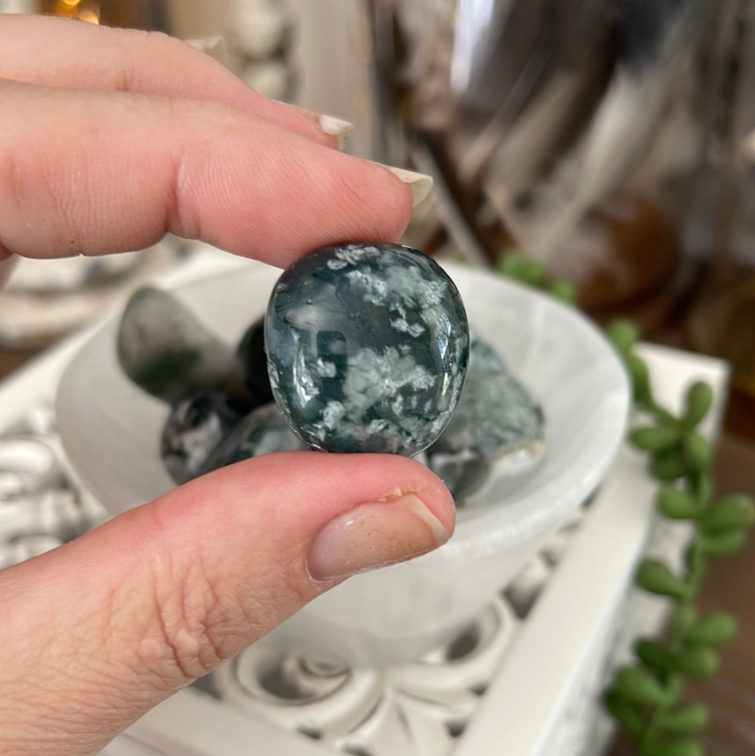 Moss Agate | Tumbled Stones | Australia | Crystal Collection