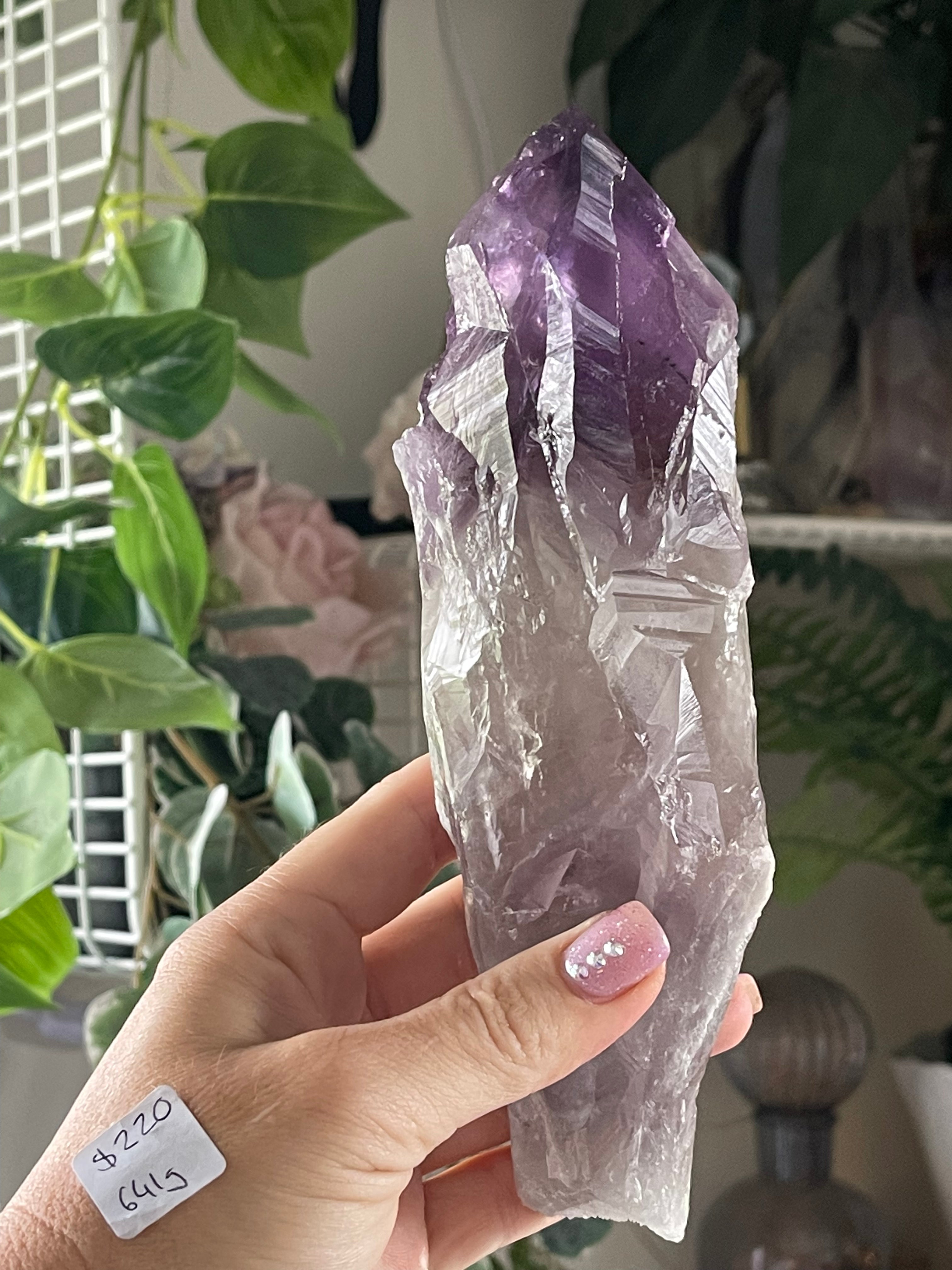 Massive Raw Natural Amethyst Tooth