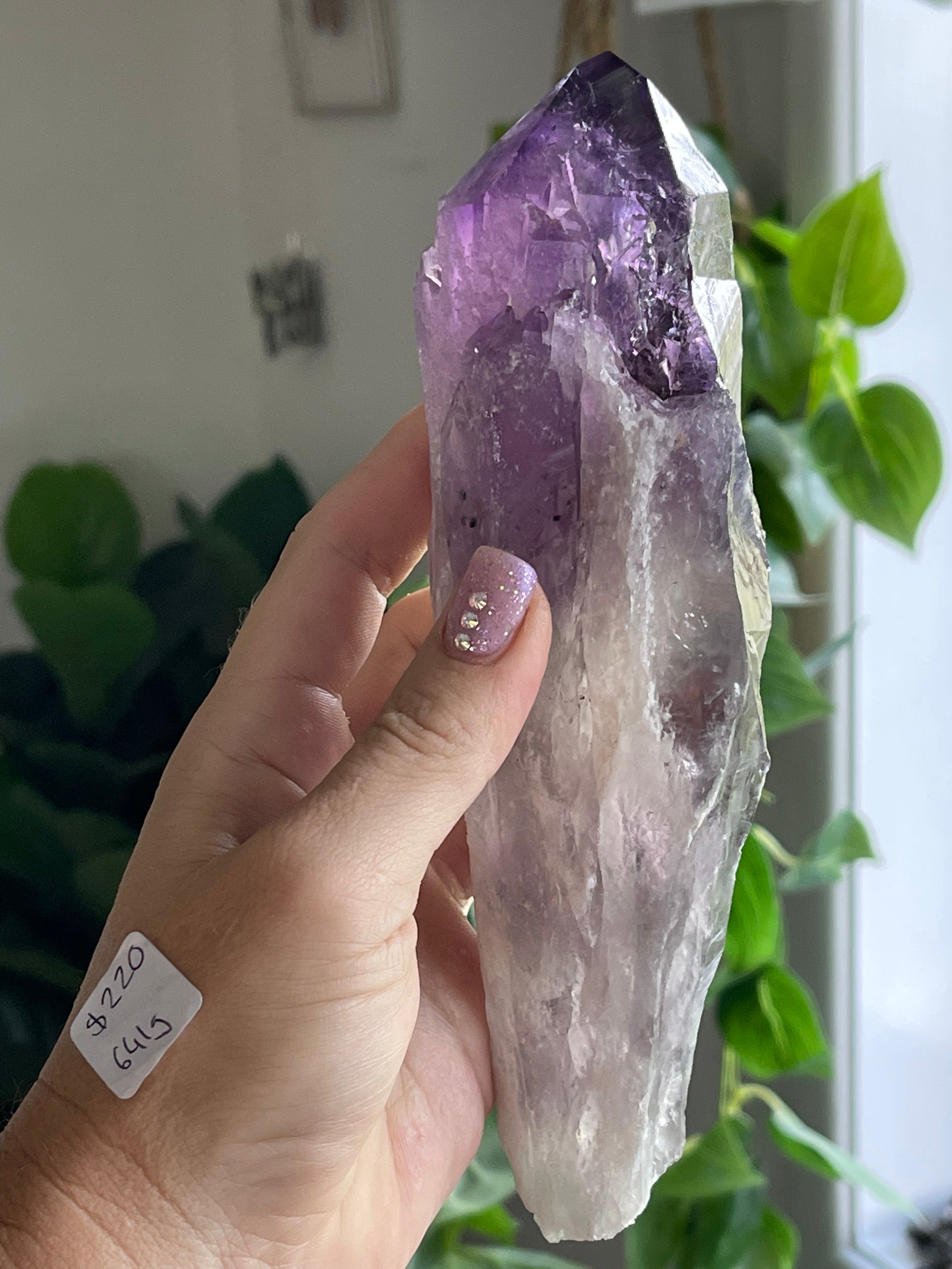 Massive Raw Natural Amethyst Tooth