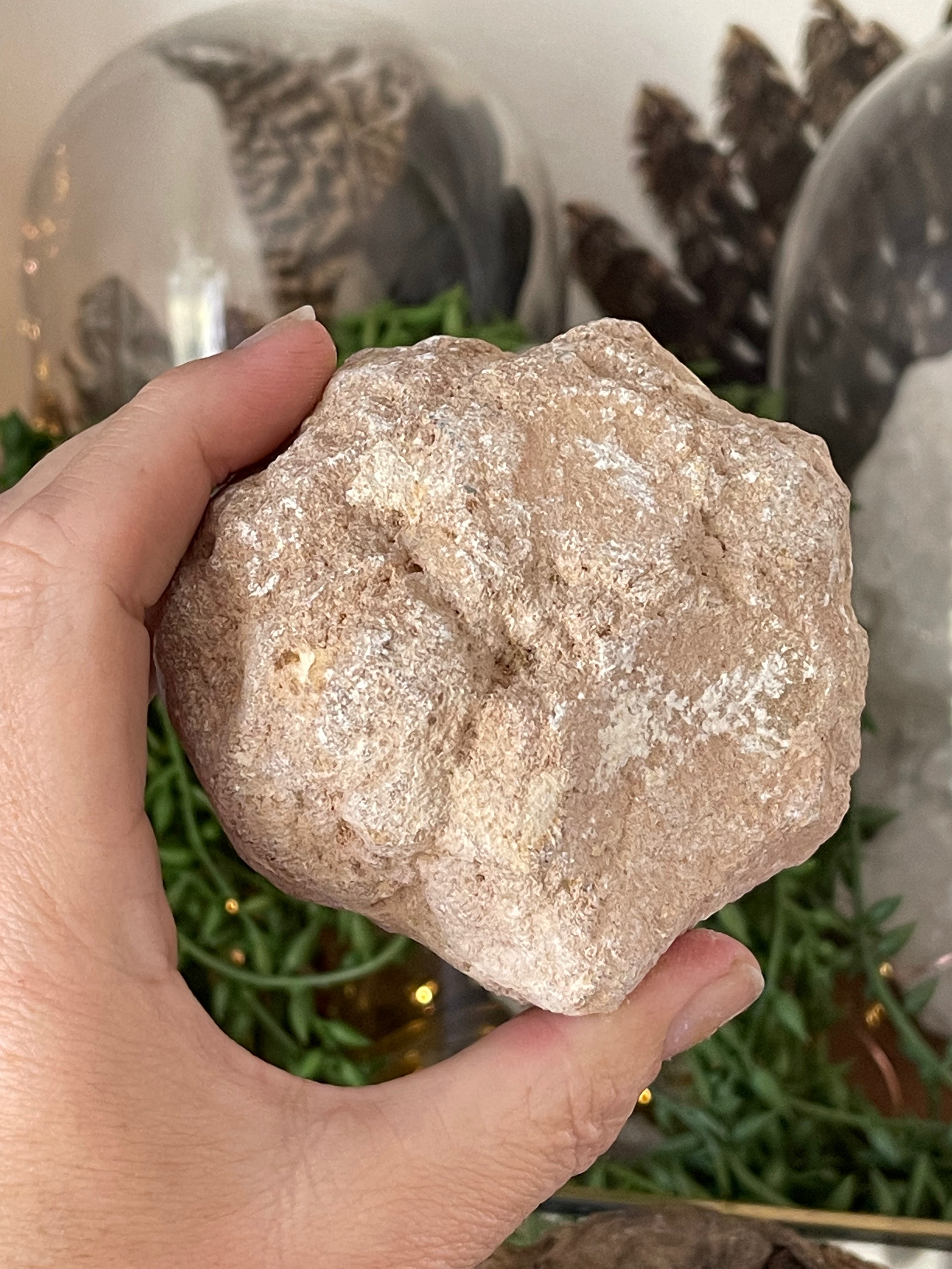 Crack Your Own Medium Geode | Break Your Own Quartz | Thunder Egg Hunt Activity