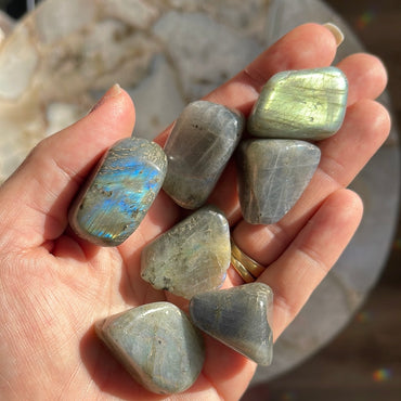 Flashy Blue Labradorite Tumbles | Tumbled Stones | Australia | Crystal Collection