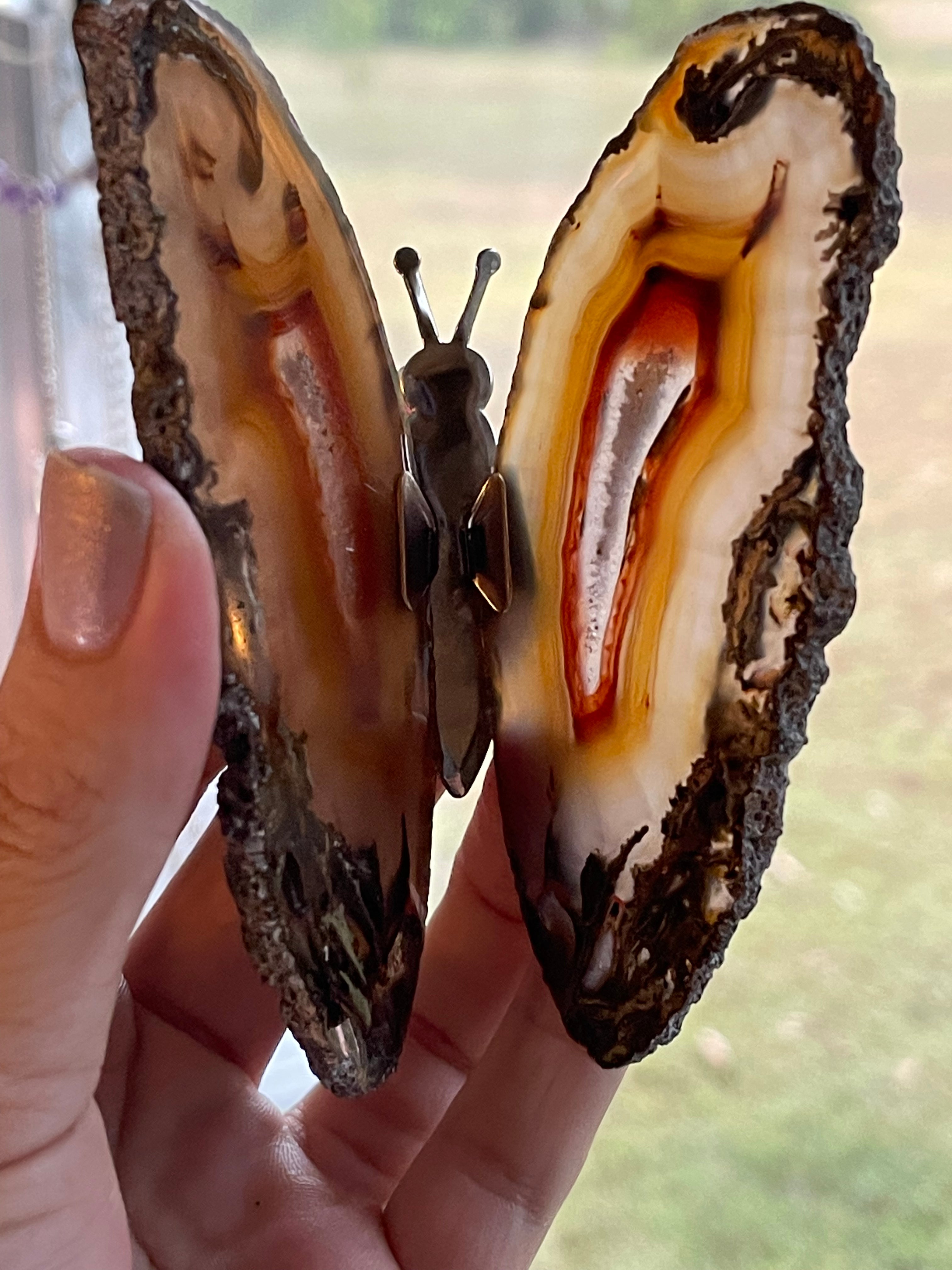 Agate Slice butterfly