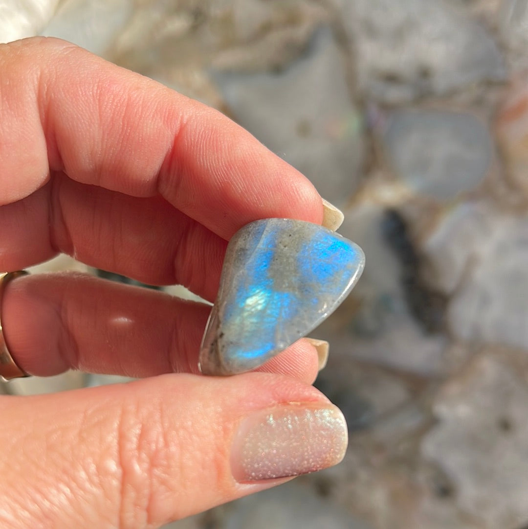 Flashy Blue Labradorite Tumbles | Tumbled Stones | Australia | Crystal Collection