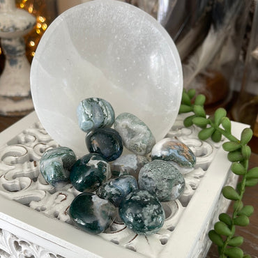 Moss Agate | Tumbled Stones | Australia | Crystal Collection