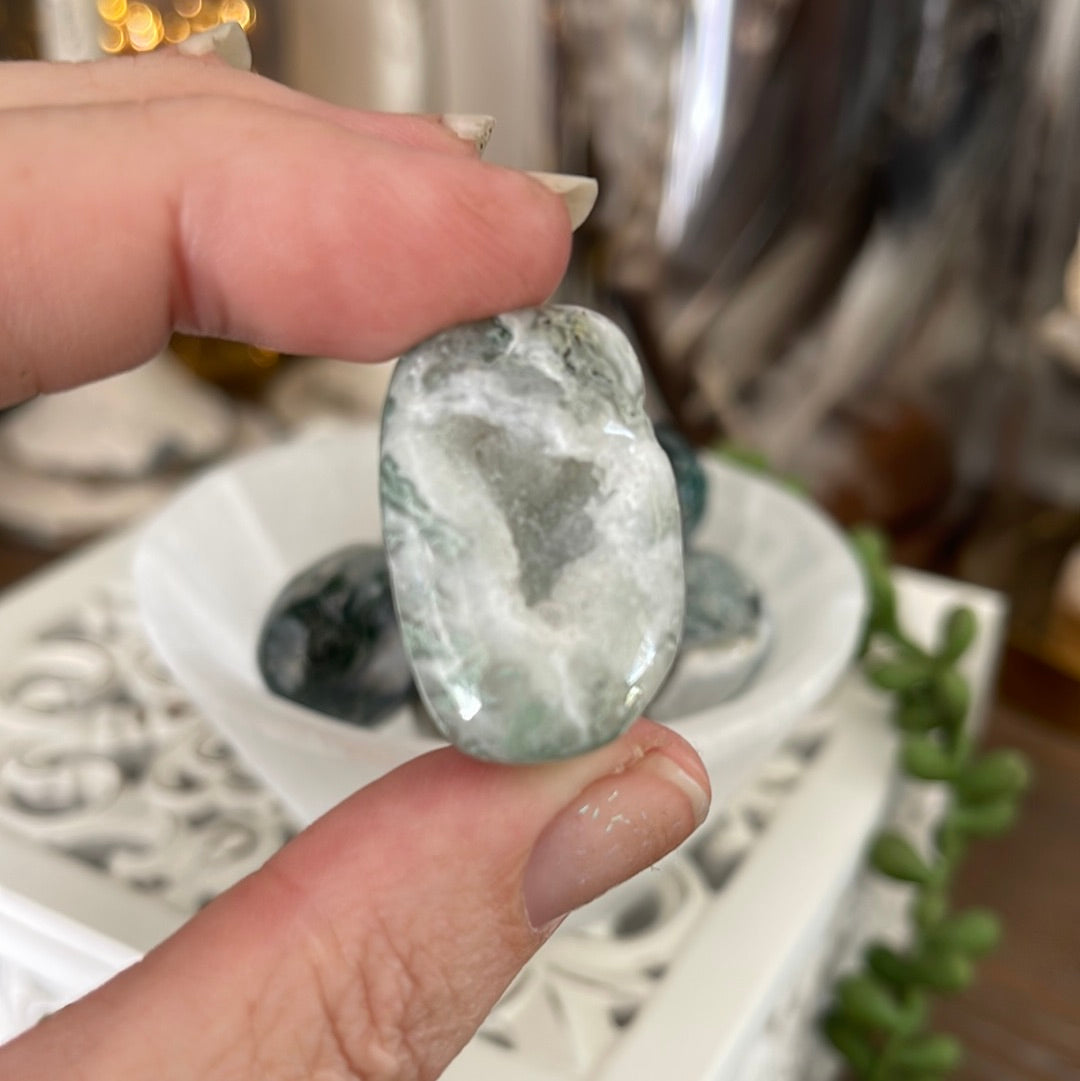 Moss Agate | Tumbled Stones | Australia | Crystal Collection